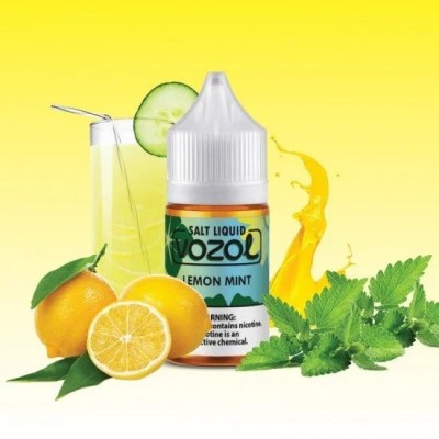 Vozol Lemon Mint Salt Likit 30ml Vozol Lemon Mint Salt Likit 30ml