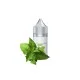 Saltica Mint Salt Likit 30ml
