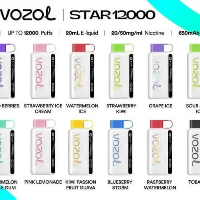 Vozol 12000 Puff Bar Vozol 12000 Puff Bar