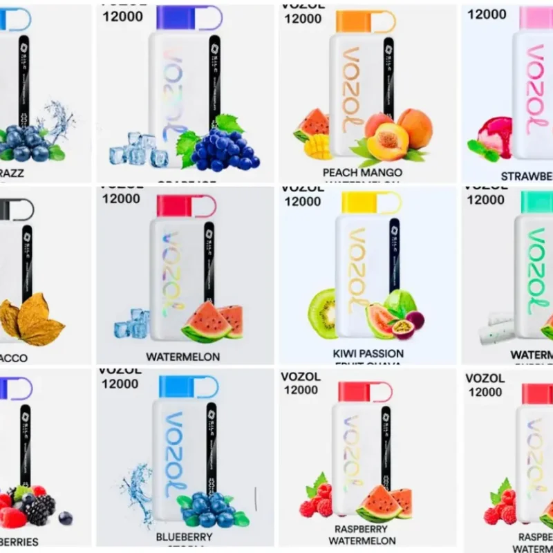 Vozol 12000 Puff Bar Vozol 12000 Puff Bar